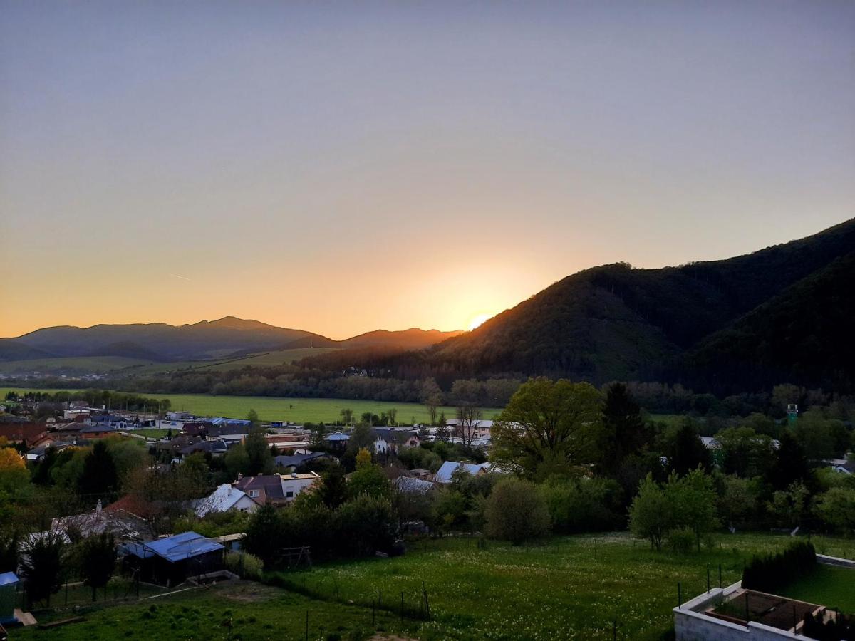 Vila Viktoria Rajecké Teplice Buitenkant foto